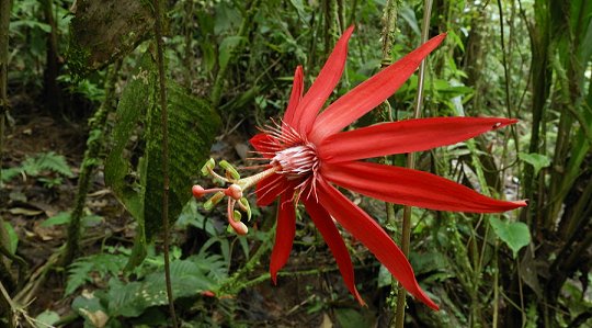 Costa Rica Photo Tours